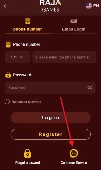 Click on the customer service option on the login page